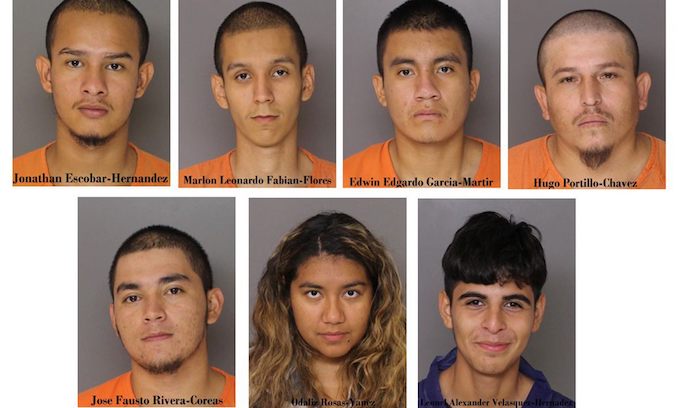 Six Illegal Alien Ms 13 Members Arrested For Md Murder Gopusa