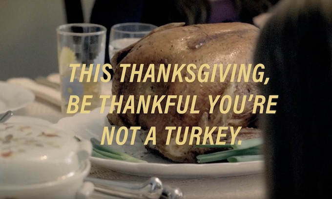 PETA activists protest eating turkey on Thanksgiving – GOPUSA